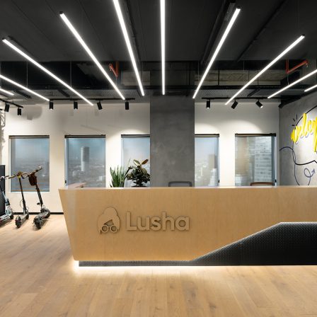 Lusha, Tal Ben Zeev & Daniel Mayer, Office Design, Recaption, Logo.